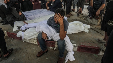 غزہ میں شہداء کی تعداد 63 ہزار سے بڑھ گئی