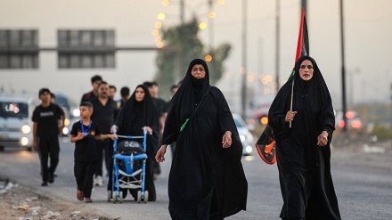 پیاسەی زیارەتکارانی چلەی ئیمام حوسێن (ع) لە بەغداوە بەرەو کەربەلا