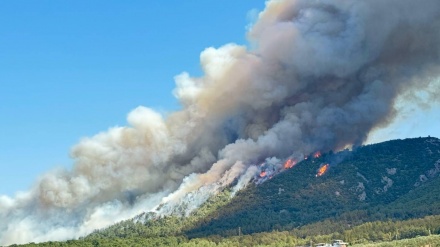 Şewata daristana li Çanakkela Tirkiyê