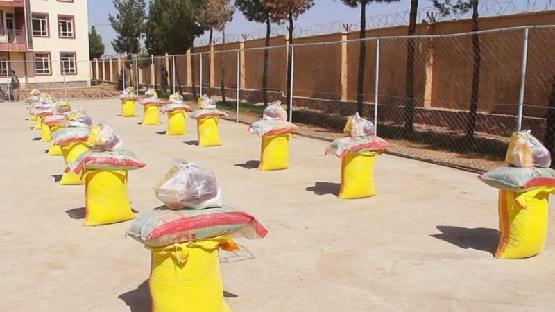 از هزار متکدی در هرات، تنها ۳۵ نفر مستحق شناخته شدند