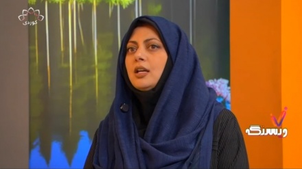 نەخۆشیی سیل چۆن دێتە ئاراوە؟