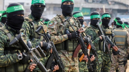 فلسطینی مجاہدین کا حملہ ، کئی صیہونی فوجی ہلاک اور زخمی 