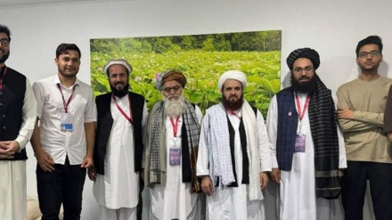  اشتراک هیأت افغانستان در فورم اقتصادی شرق ۲۰۲۵؛ تعامل با بیش از ۷۰ کشور برای حفاظت از منابع طبیعی