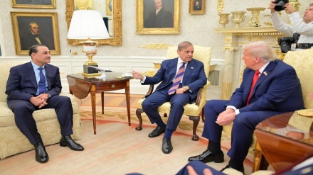 پاکستان کے وزیر اعظم کی امریکی صدر سے ملاقات، شہباز شریف نے ٹرمپ کی تعریف کے باندھے پل