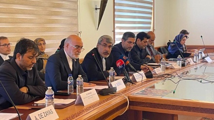 جنیوا، انسانی حقوق کے اجلاس میں ایران پر صیہونی- امریکی جارحیت کی مذمت
