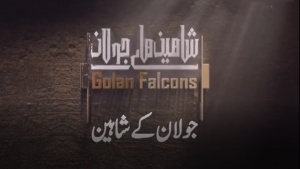 جولان کے شاہین