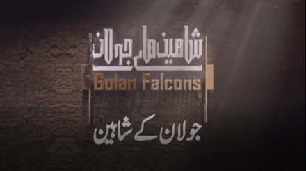 جولان کے شاہین