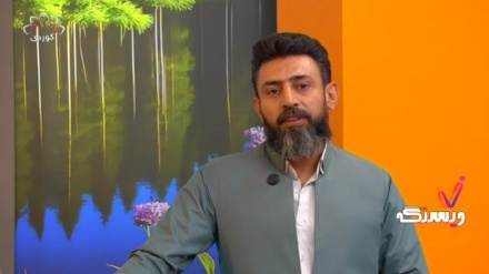 ئاشنایی لەگەڵ هونەرمەند 