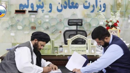 آغاز ساخت کارخانه بزرگ فرآوری سرب و جست با سرمایه خارجی