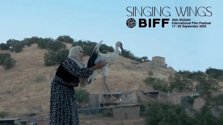 Belgefîlmsazê Kurd xelata Festîvala Bûsanê wergirt