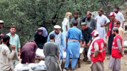 سازمان جهانی صحت: کمبود سه میلیون دالر برای رسیدگی به زلزله‌زدگان شرق کشور