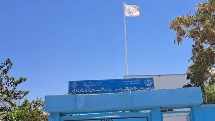 نشست مشترک رسانه‌ای در بادغیس؛ تأکید بر حل چالش‌های خبرنگاران