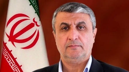 ایران اپنی پرامن جوہری صلاحیت اور ایٹمی حق سے دستبردار نہیں ہوگا:ادارہ ایٹمی توانائی کے سربراہ کا انٹرویو