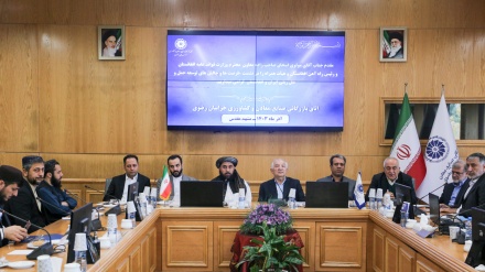 نشست مشترک مقامات تجاری ایران و افغانستان 