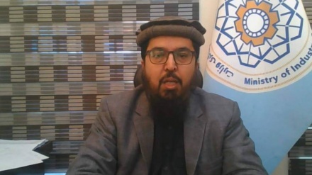 افزایش ۳۰ درصدی تجارت افغانستان؛ ۶.۷ میلیارد دالر مبادله در شش ماه اخیر