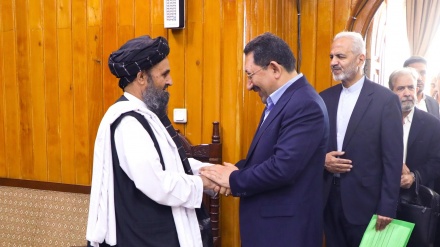 دیدار هیئت اقتصادی ایران با معاون اقتصادی رئیس الوزرا