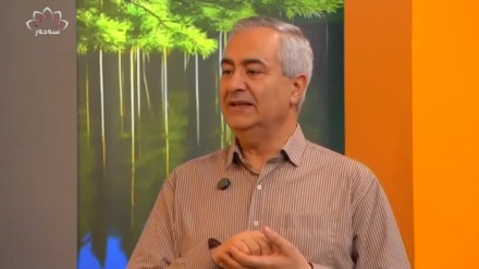 تانەی چاو