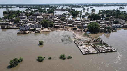 جلالپور پیروالا میں المناک حادثہ، سیلابی پانی نے تین افراد کی جان لے لی