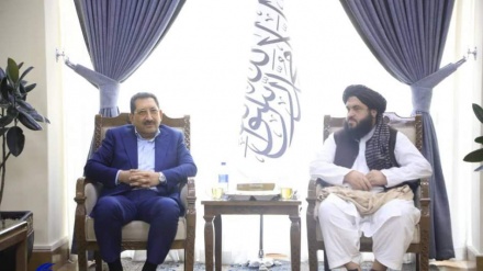 سفر وزیر صمت ایران به کابل؛ گام تازه در رفع موانع تجاری ایران و افغانستان