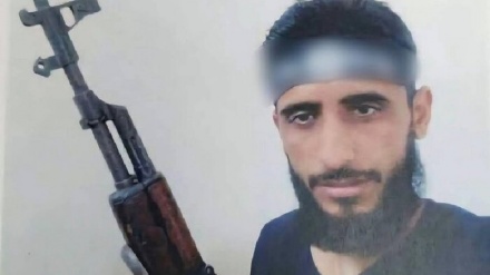 Kuştina serkirdeyekî pillebilind ê koma terorîst a DAIŞê li Sûrîyê