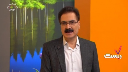 زانیاری پێویست لەسەر ئانفڵوانزا