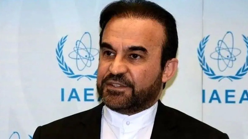 امریکہ اور یورپی ٹرائیکا کی نئی قرارداد مسائل کو مزید پیچیدہ بنائے گی: آئی اے ای اے میں ایرانی مندوب