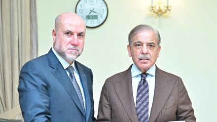 فلسطینیوں کے حق میں دنیا بھر میں آواز بلند کریں گے: پاکستان کا وعدہ