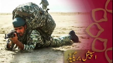 اسپیشل بریگیڈ -6