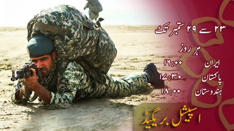  اسپیشل بریگیڈ