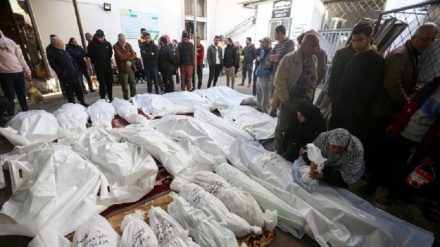 شهادت ۴۱ فلسطینی در جنایات تازه اشغالگران در غزه 