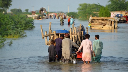 پاکستان: پنجاب میں سیلاب سے 5000 سے زائد دیہی بستیوں میں وسیع تباہی 