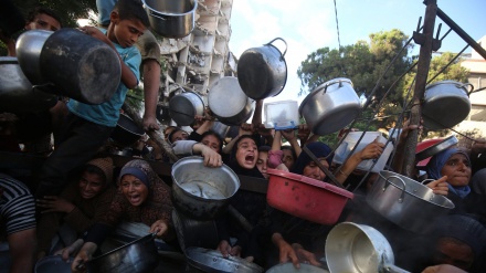 غزہ میں بھوک اور قحط کا قہر، سینکڑوں فلسطینی شہید