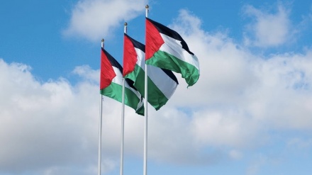 برطانیہ، آسٹریلیا اور کینیڈا کے اقدام کا خیر مقدم