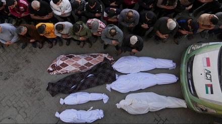اسرائیلی جارحیت میں ایک دن میں 87 فلسطینی شہید