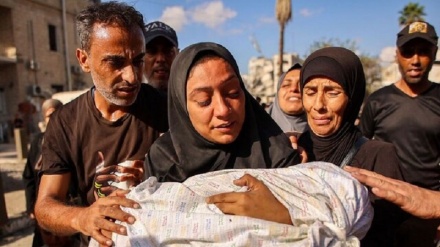 Dewama cinayetên artêşa terorê li Xezzeyê û zêdebûna hejmara şehîdên Filistînê
