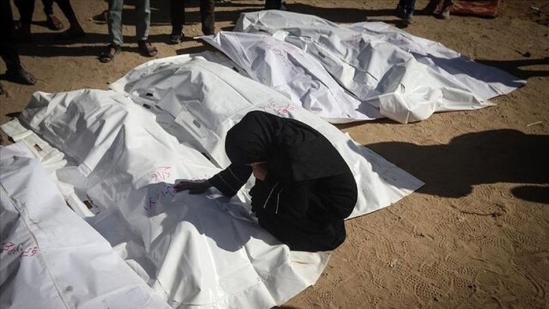 ژماری شەهیدانی شەڕی غەززە گەیشتە سنووری شەست وپێنج هەزارکەس