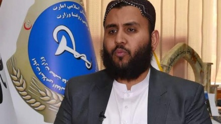 زلزله ۶ ریشتری در کنر؛ تخریب کامل چندین ولسوالی و جان‌باختن صدها نفر