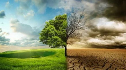 آغاز برنامه‌های آموزشی تغییرات اقلیمی برای ۱۵۰ دهقان در پنج ولسوالی قندهار