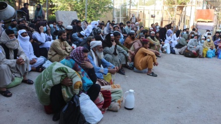 د اسلام کلا پوله کې د لنډمهاله پنډغالي جوړول