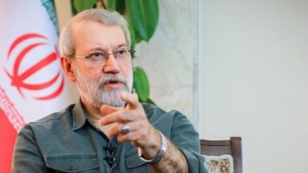 ڈاکٹر علی لاریجانی:  مسلم حکام کی بے عملی قابل تشویش 