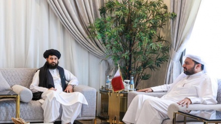 نورو هېوادونو سره د پوځي ښکېلتیا په اړه د کابل دریځ