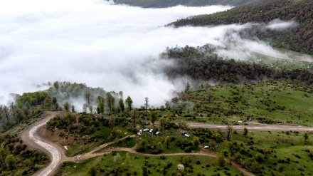 Golestanske šume u Iranu – omiljena destinacija turista tokom ljeta