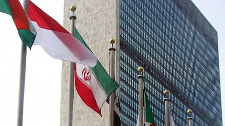 فلسطینی ریاست کی حمایت میں عالمی ممالک متحد، صیہونی حکومت اور امریکہ برہم