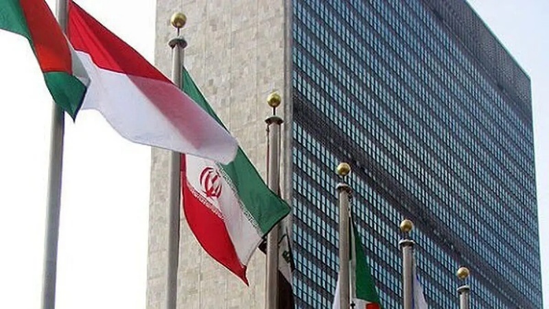 فلسطینی ریاست کی حمایت میں عالمی ممالک متحد، صیہونی حکومت اور امریکہ برہم