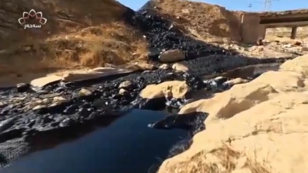 Karesatek li jîngeha nêzîkî gola Dukanê