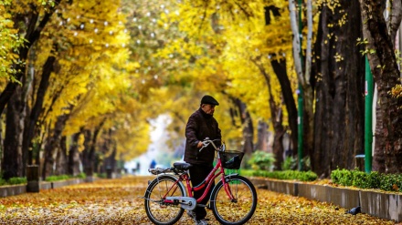ئەسفەهان بەرگی پاییزی پۆشیوە