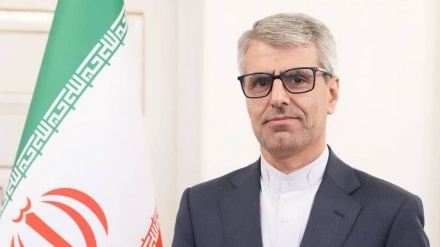  الصمود بحری کاروان آزادی پر اسرائیلی حملہ دہشت گردانہ اقدام ہے : ایران 
