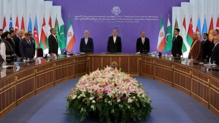 د ایکو په څنډه کې د ابراهیم صد او محسن نقوي خبرې اترې 