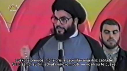 Nasrullah, historija Libana