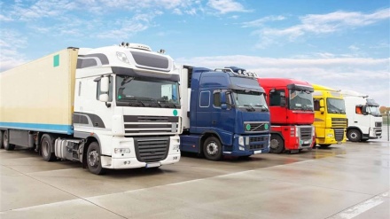 دافغانستان د وچې میوې صادراتو کچې لوړوالی  